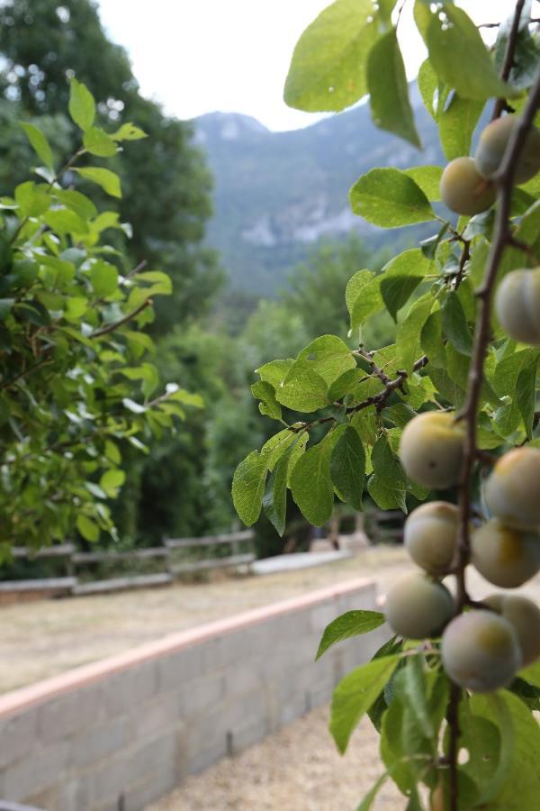 Private Riverside Villa With Breathtaking Views Axat Esterno foto